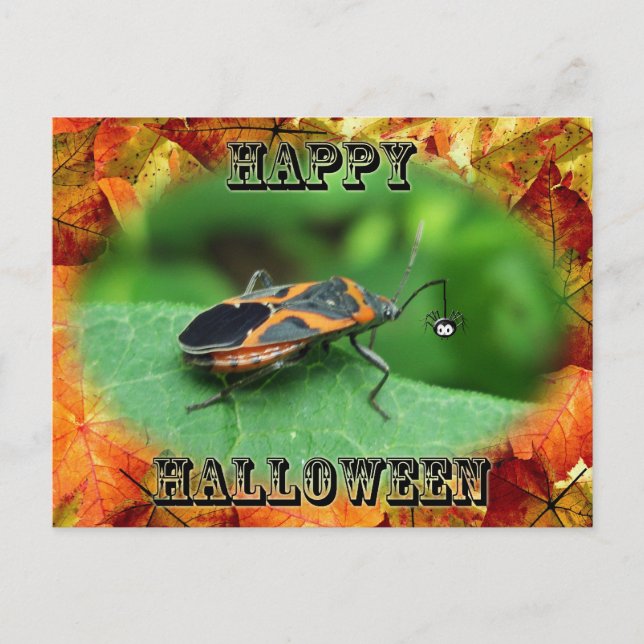 Halloween Box Elder Bug Coordinating Items Postcard (Front)