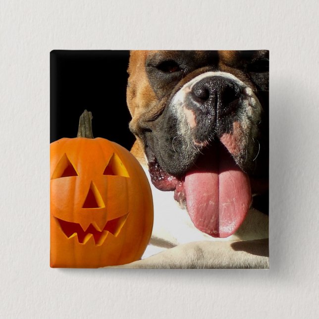 Halloween Boxer button (Front)