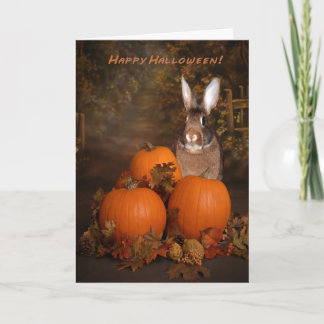 Halloween Bunny in a Pumpkin Patch Card