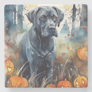 Halloween Cane Corso With Pumpkins Scary Stone Coaster
