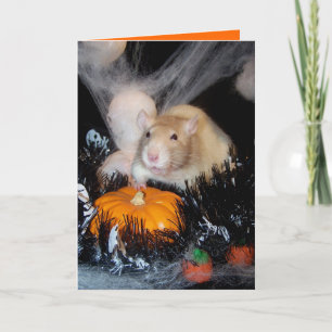 Halloween Card