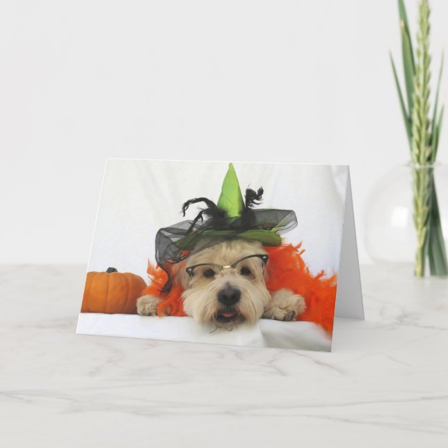 halloween card, humor, dog cute, witch,pumpkin, card (Front)