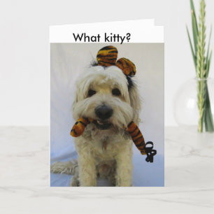 halloween card, humour, dog eats cat, guilty dog, holiday card