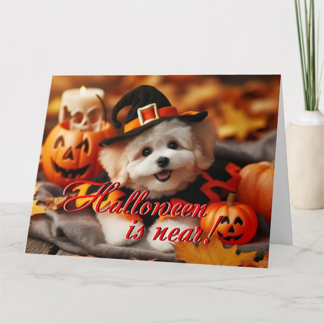 Halloween card Maltipoo dog (Front)