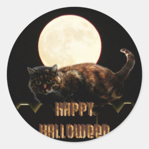 Halloween Cat & a Full Moon Classic Round Sticker