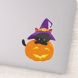 Halloween Cat, Black Cat, Witch Hat, Pumpkin