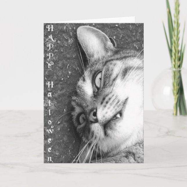 Halloween cat card (Front)