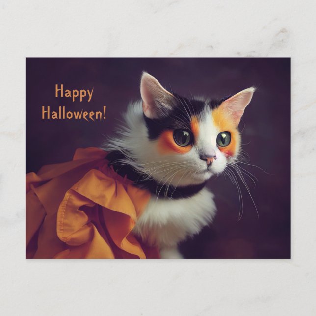 Halloween. cat in the pumpkin costume. postcard (Front)