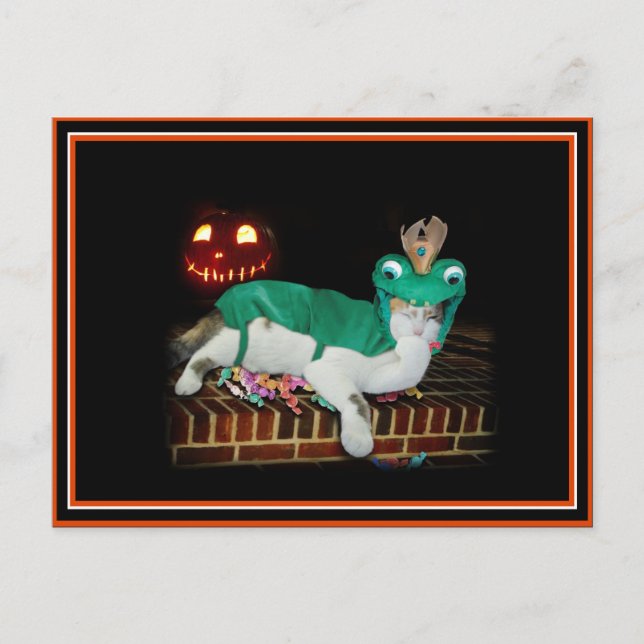 Halloween Cat is Gettin' The Goods! Postcard (Front)