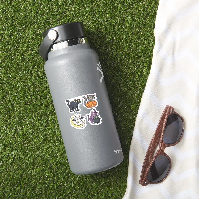 Halloween Cat  Spooky and Stylish Feline-Inspired  (HydroFlask Insitu)