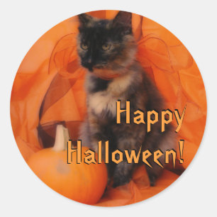 Halloween Cat Stickers
