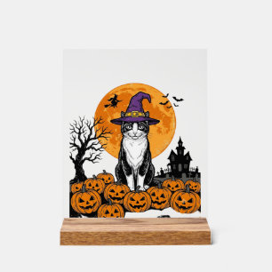 Halloween Cat Witch Pumpkin Vintage Spooky_1 Acrylic Sign