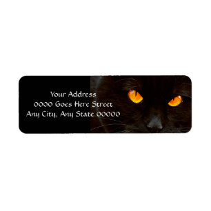 Halloween Cat's Face