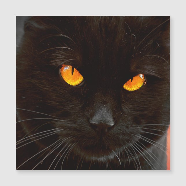 Halloween Cat's Face (Front)