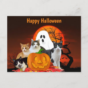 Halloween Cats in Graveyard with Ghost / Cat Lover Postcard
