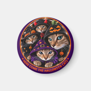 Halloween Cats in Witch Hats Magnet