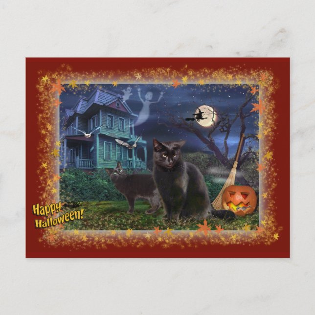 Halloween Cats Postcard (Front)
