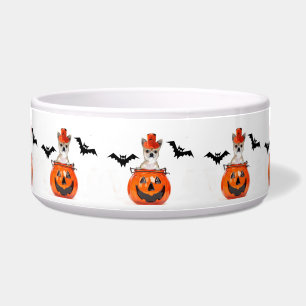 Halloween chihuahua dog