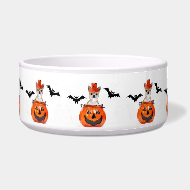 Halloween chihuahua dog (Front)