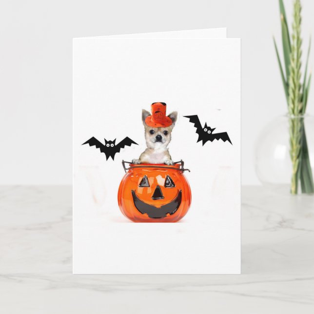 Halloween Chihuahua Dog Card (Front)