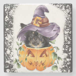 Halloween Chiwawa Witch in Pumpkin Spooky Cute Stone Coaster