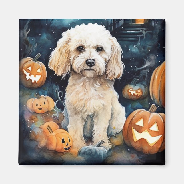 Halloween Cockapoo With Pumpkins Scary  Magnet (Front)