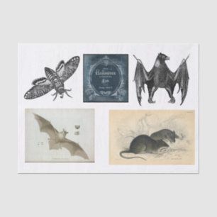 Halloween collection decoupage tissue paper