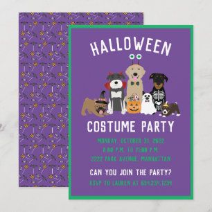Halloween Costume Party Dogs Black Cat Invitation