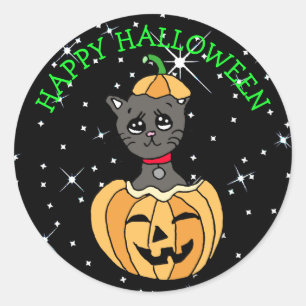 Halloween Cute Black Cat in Pumpkin Classic Round Sticker