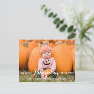 Halloween Cutest Pumpkin in the Patch Holiday Postcard
