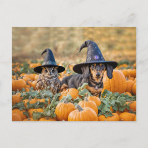 Halloween Dachshund and Owl Funny Holiday Postcard
