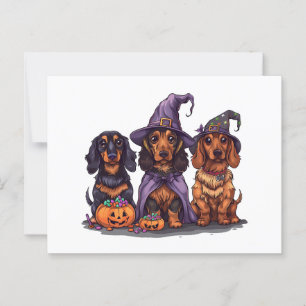Halloween Dachshund Witch Dogs Postcard