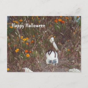 Halloween Decoration Fake Skeleton in Marigolds Postcard