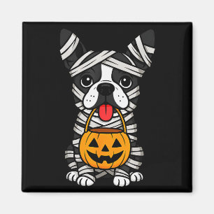 Halloween Dog Boston Terrier Mummy Costume Men Wom Magnet
