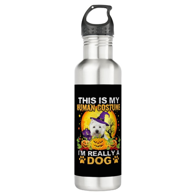 Halloween dog costume 710 ml water bottle (Front)