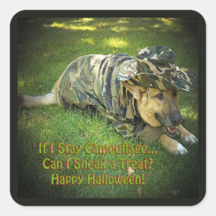 Halloween Dog in Camouflage Square Sticker