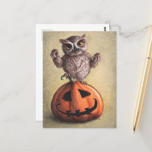 Halloween Dracula Owl Postcard