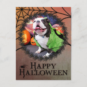 Halloween - English Bulldog - Spike Postcard