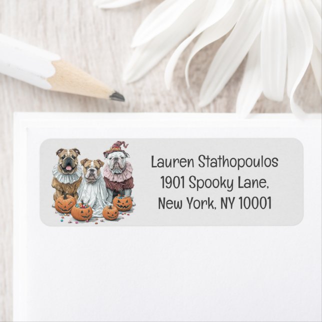 Halloween English Bulldogs Pumpkin (Insitu)