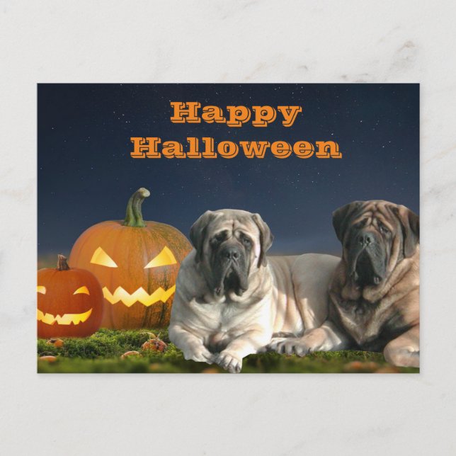 Halloween English Mastiff Happy Halloween Postcard (Front)