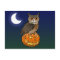 Halloween Eurasian Eagle Owl