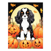 Halloween, Fall-Themed, Tri Colour Cavalier Spanie