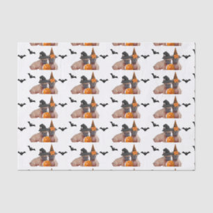 Halloween French Bulldog tissue paper