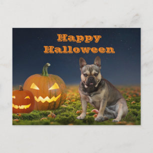 Halloween French Bulldogge postcard