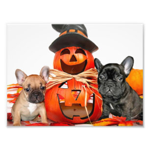 Halloween French Bulldogs Photo Print