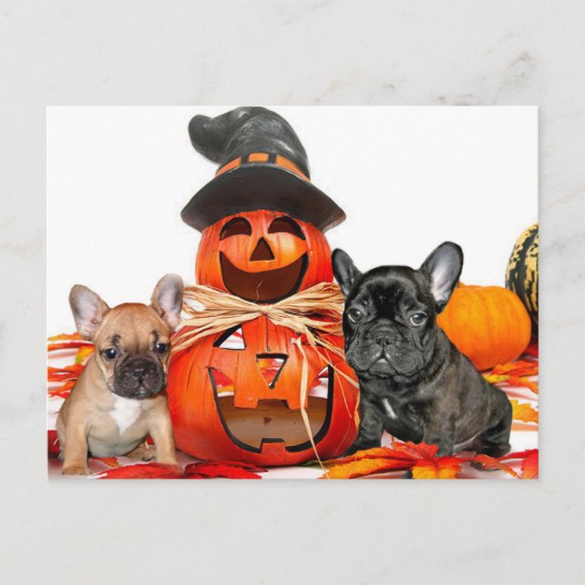 Halloween French Bulldogs Postcard (Front)