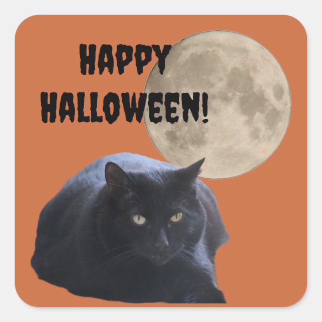 Halloween Full Moon Black Cat Square Sticker (Front)