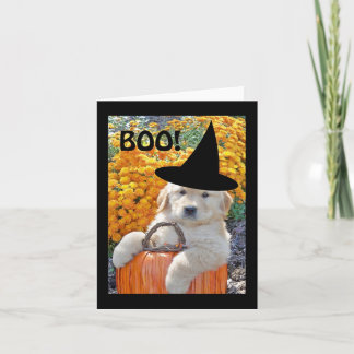 Halloween Funny Puppy Witch Note Card