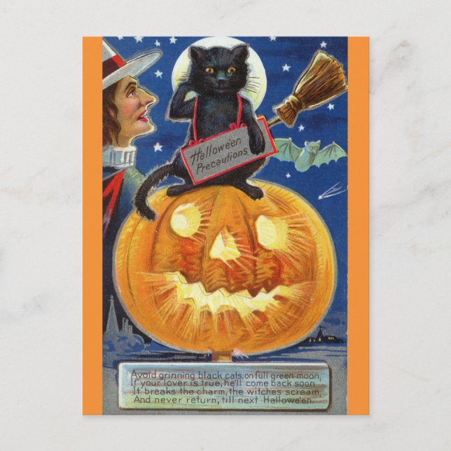 Halloween Funny Vintage Witch Black Cat Pumpkin Postcard (Front)