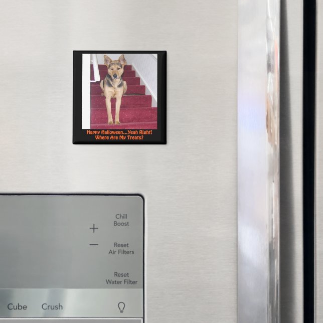 Halloween German Shepherd Dog No Treats Magnet (In Situ (Fridge))